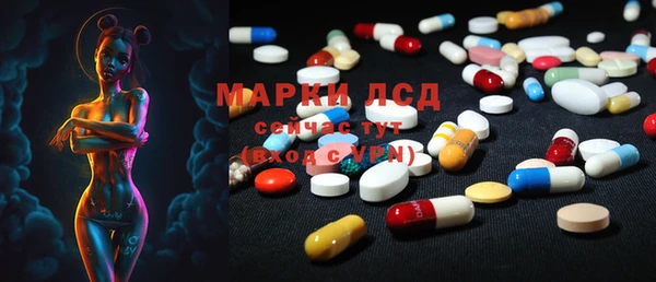 мяу мяу мука Баксан