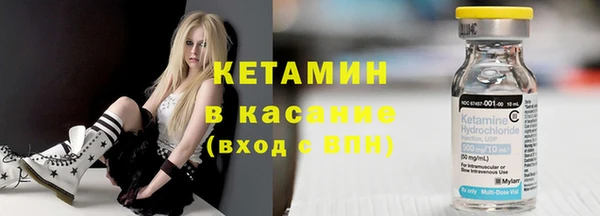 сатива Аркадак