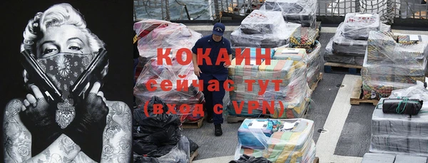 сатива Аркадак
