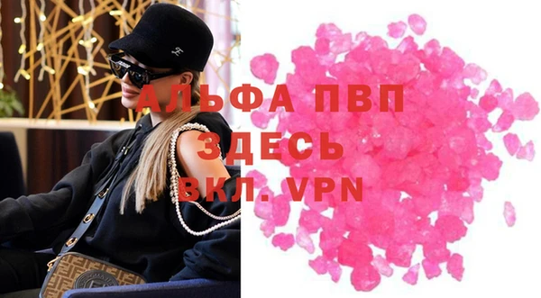 сатива Аркадак