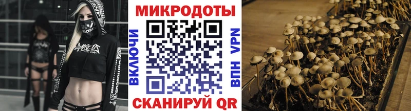 Псилоцибиновые грибы MAGIC MUSHROOMS  наркошоп  Суворов 